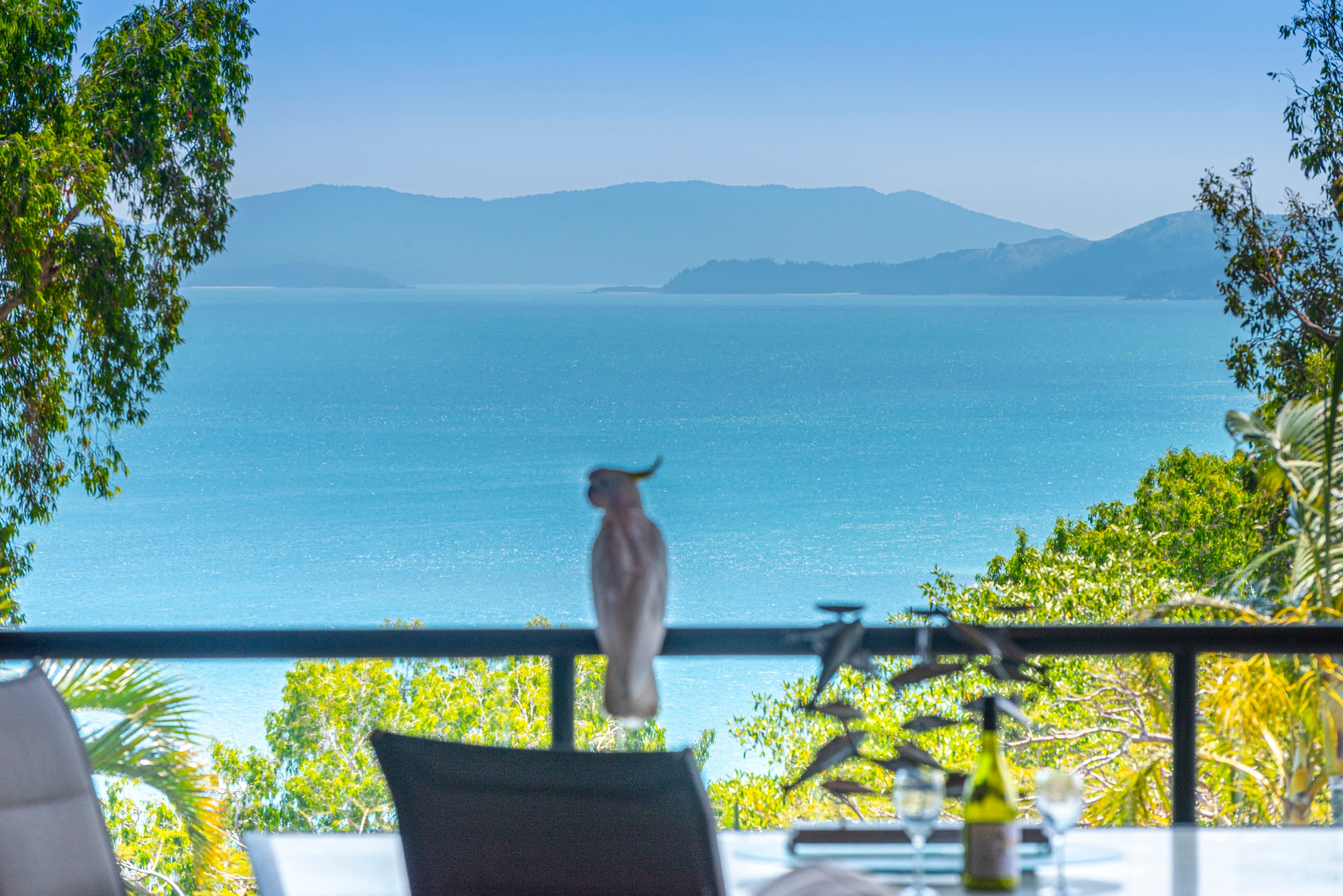 Anchorage 20/6 Banksia Court, Hamilton Island — photo 1 of 5