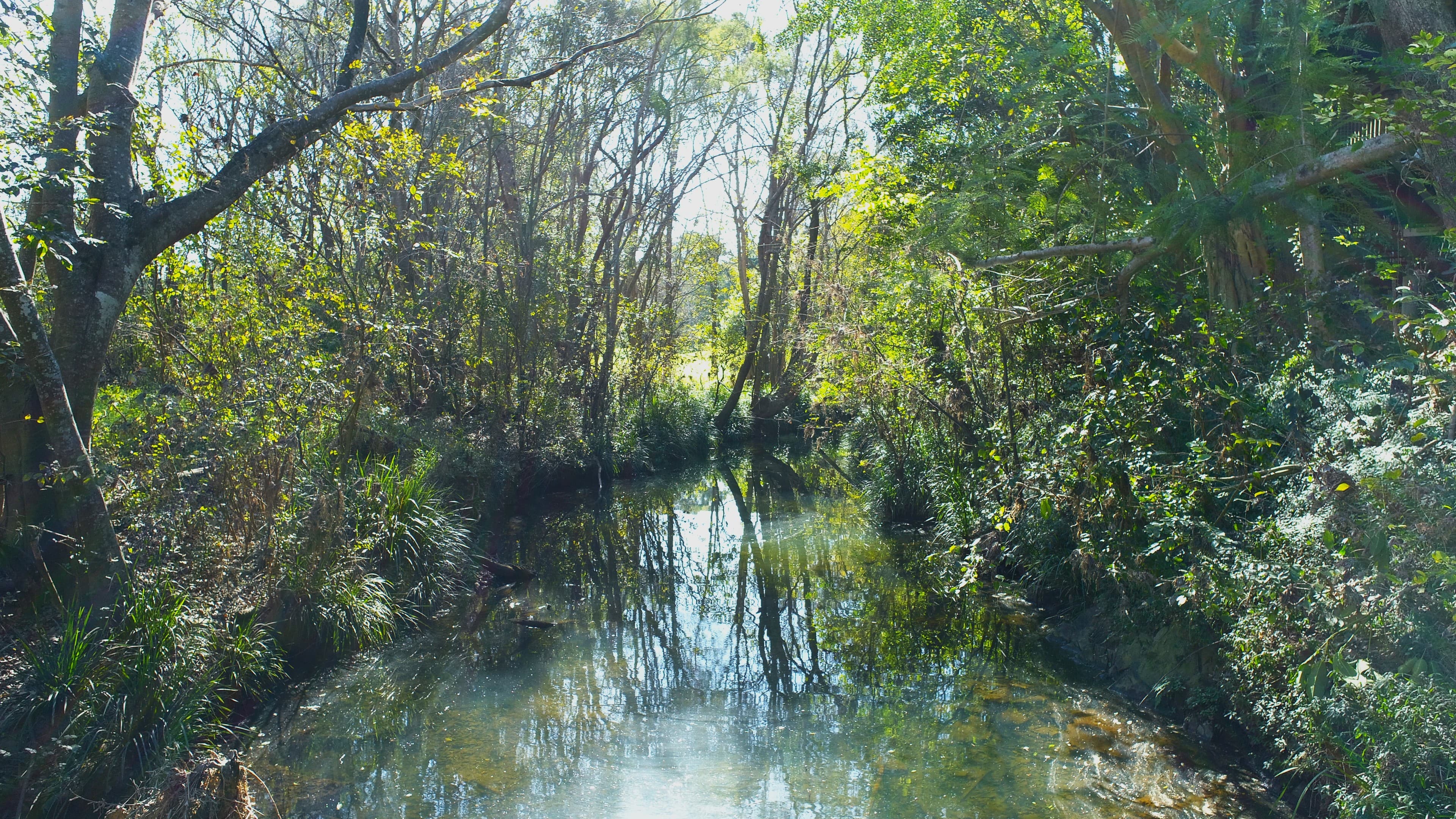 60 Gold Creek Road, Brookfield - Image 1