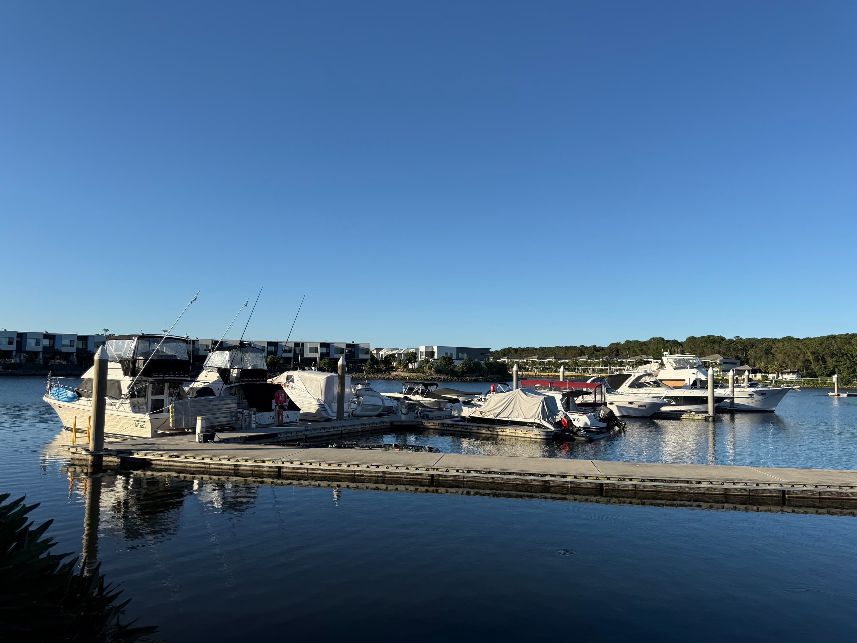 1 Stillwater Court, Hope Island — photo 1 of 5
