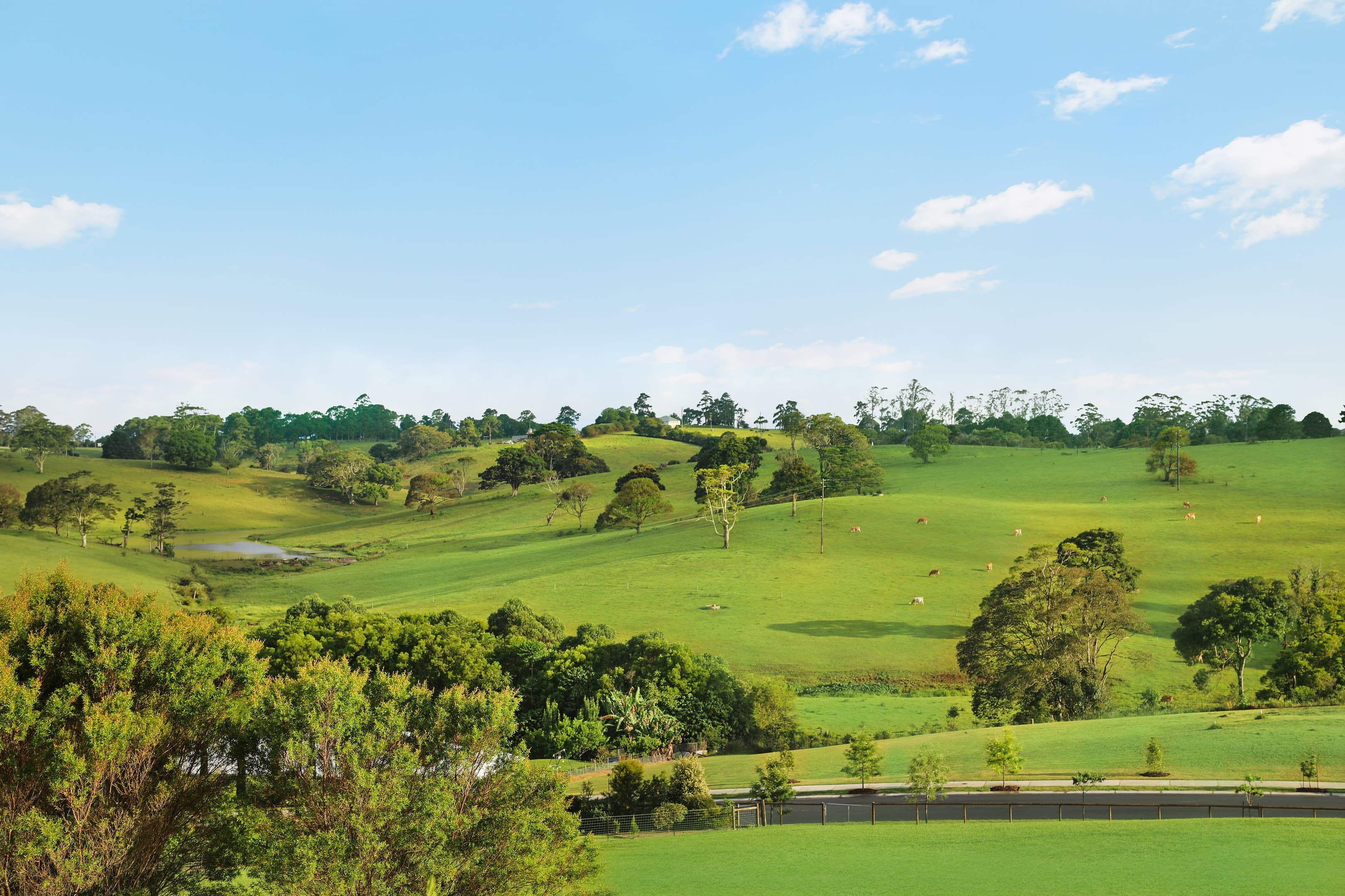 25 Mahogany Place, Maleny