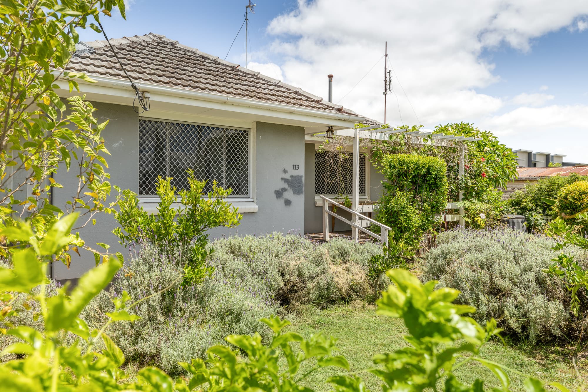 113 Anzac Avenue, Newtown - Image 1
