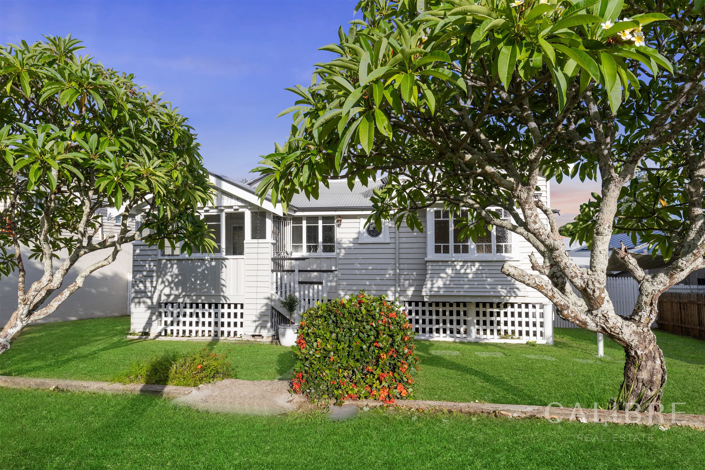 24 Nathan Terrace, Yeerongpilly, Yeerongpilly — photo 1 of 5