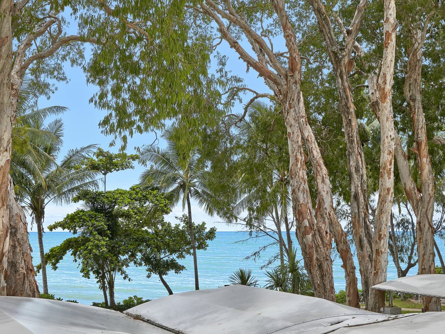 1221-1222/123-127 Williams Esplanade, Palm Cove — photo 1 of 5