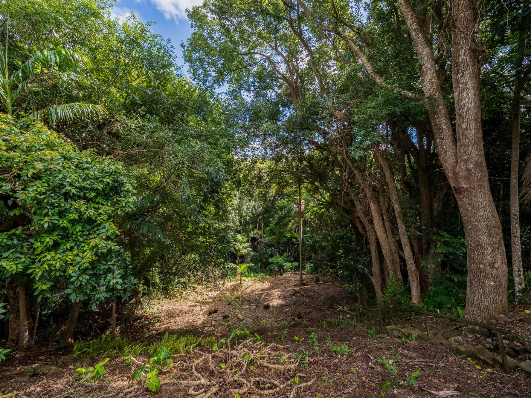 11 Carrington Drive, Flaxton - Image 1