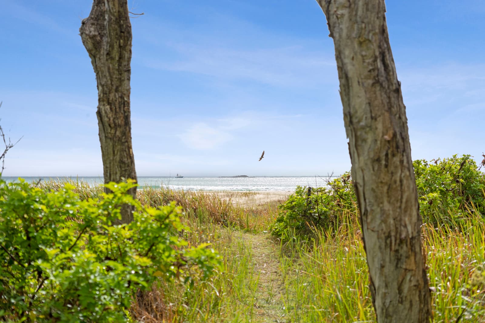 124 Dickson Way, Point Lookout — photo 1 of 5
