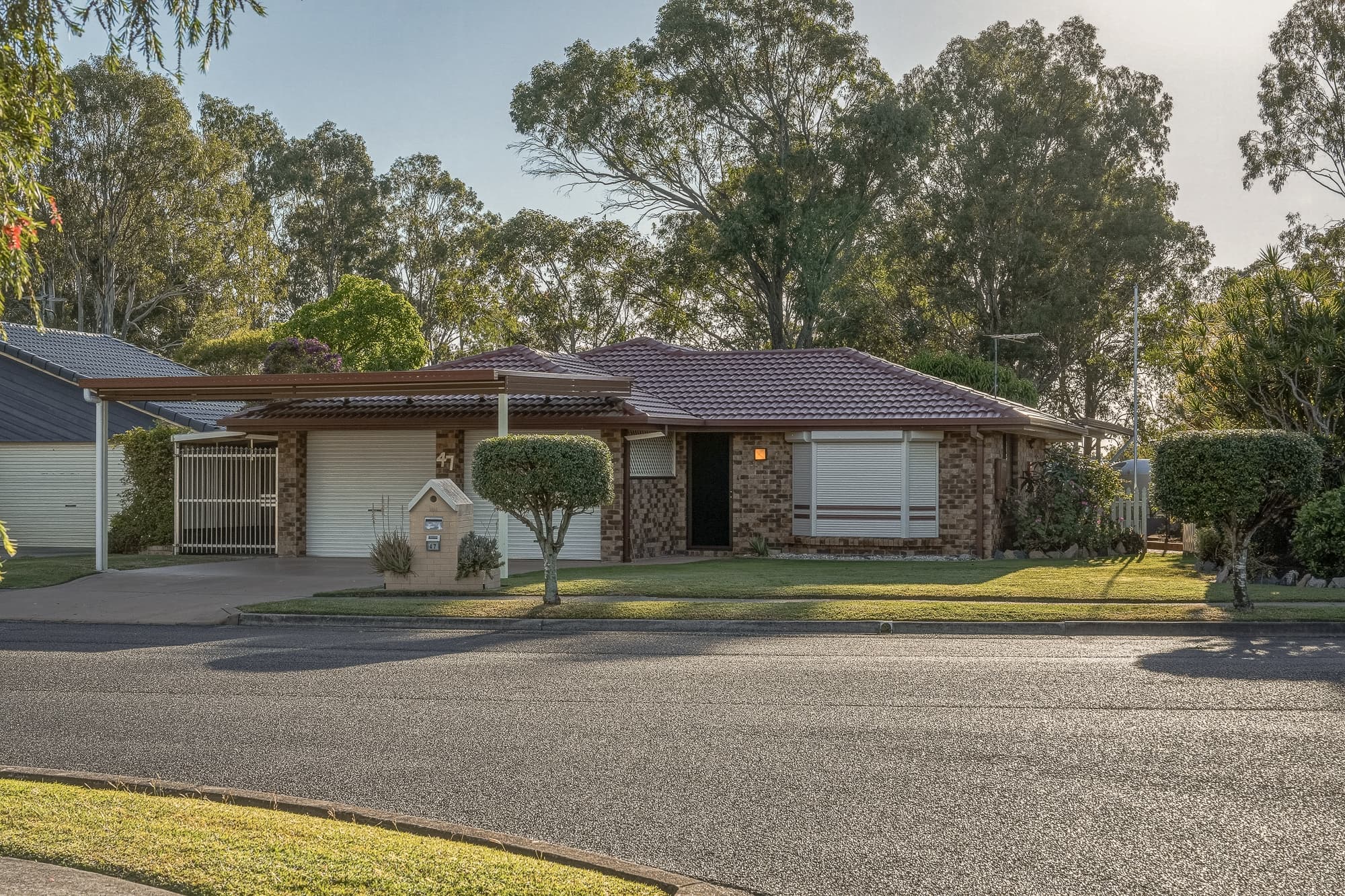 47 Arnica Crescent, Bald Hills - Image 1