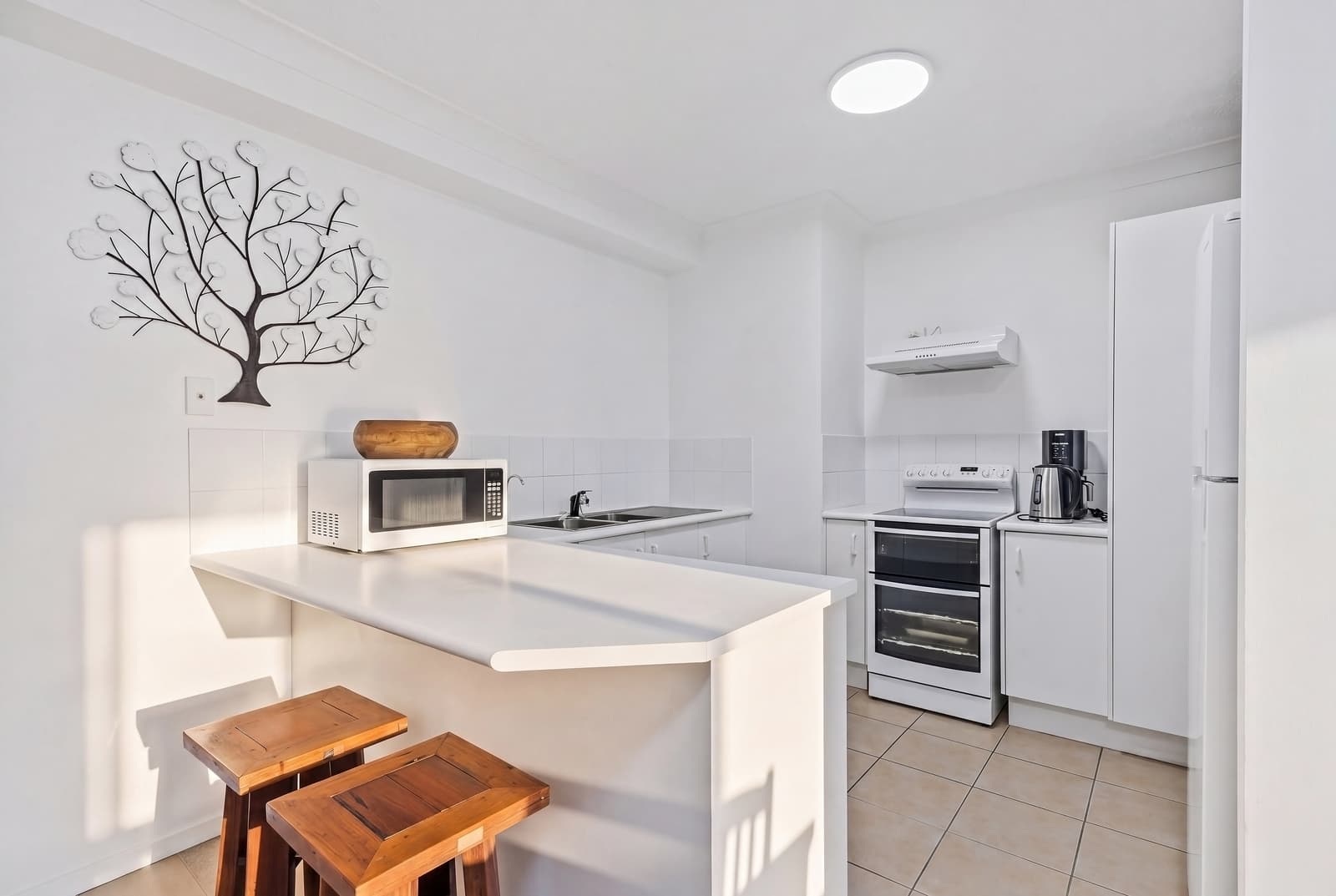 3/3 Clancy Court, Tugun - Image 1