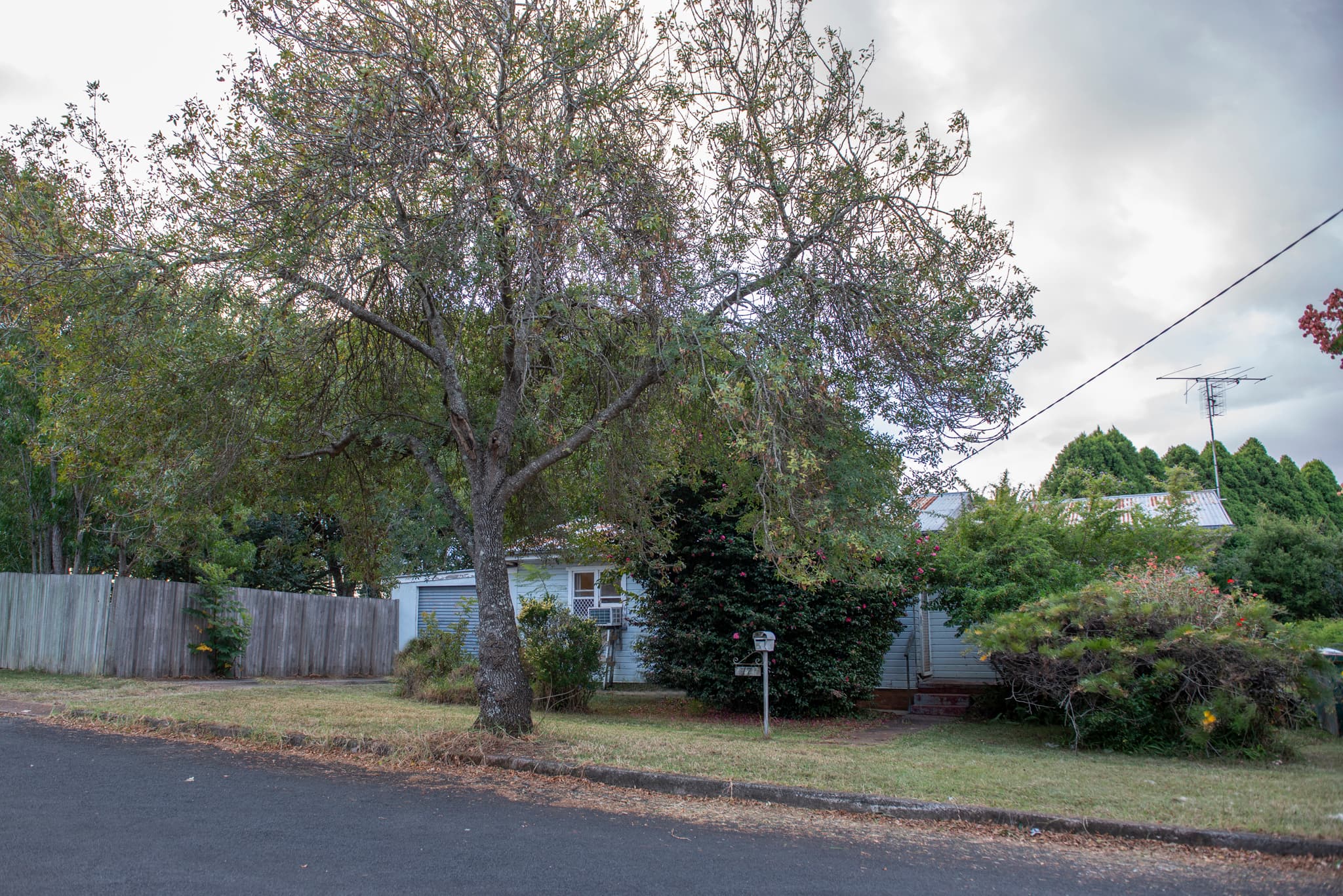 17 Butt Street, Harristown - Image 1