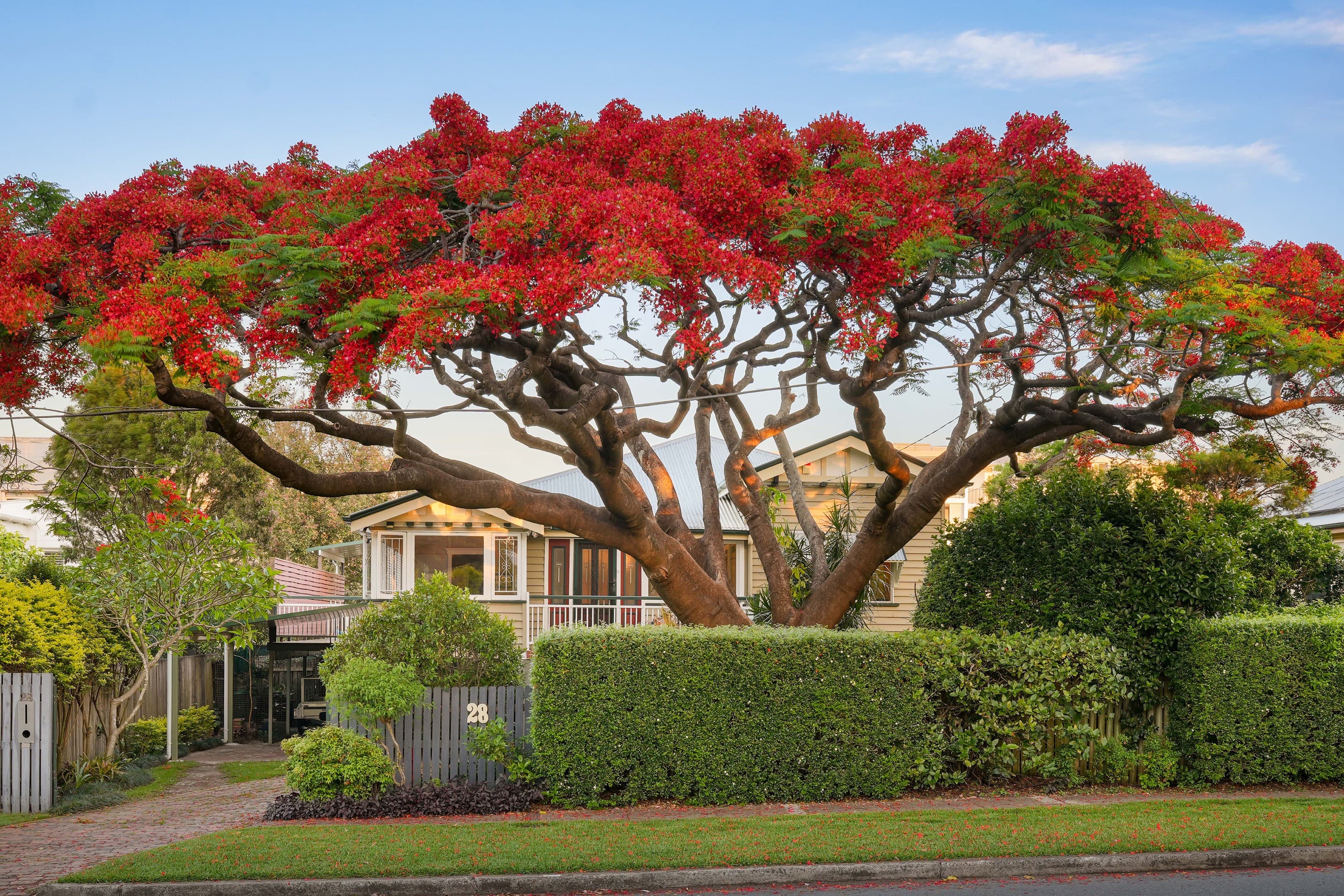 28 Morcom Avenue, Corinda, Corinda — photo 1 of 5