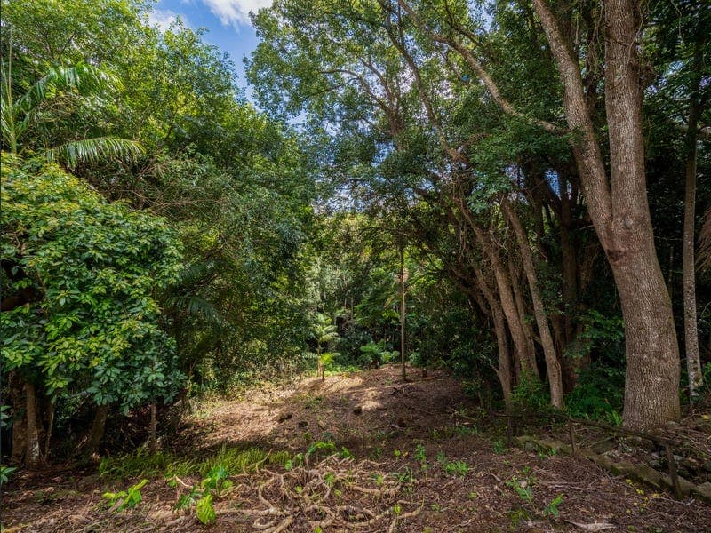 11 Carrington Drive, Flaxton — photo 1 of 5