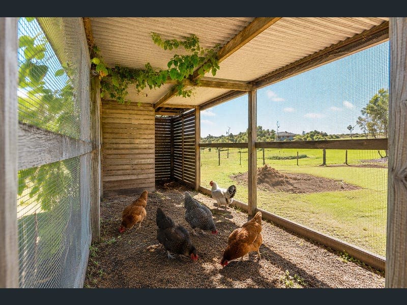 13 Jamae Court, Alligator Creek — photo 1 of 5